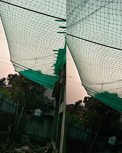Pigeon net terrace