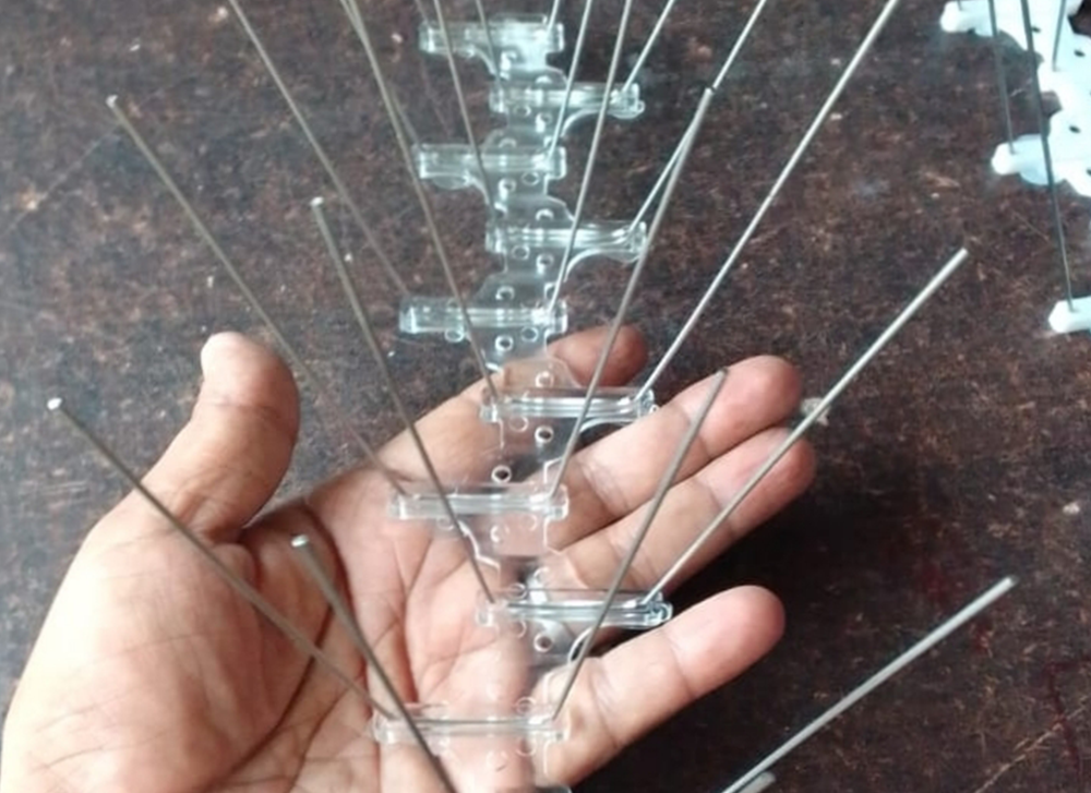 Bird spike installation Mumbai